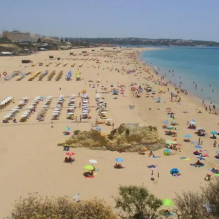 Rocha Gardens * 波尔蒂芒